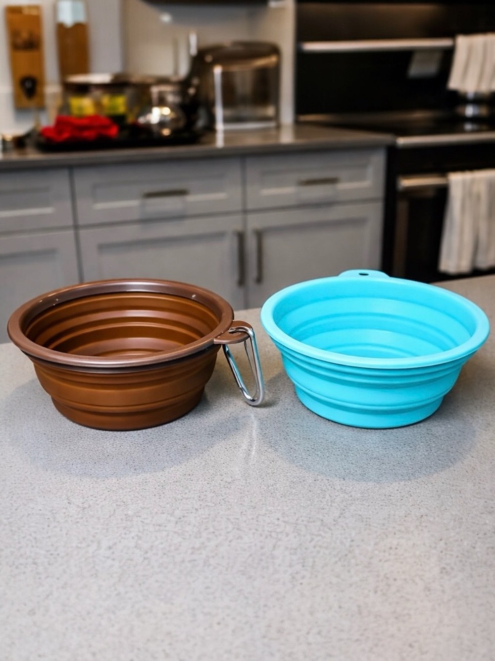 Collapsible Silicone Pet Bowls Set of 2 Dog Cat Travel Food Water Carabiner